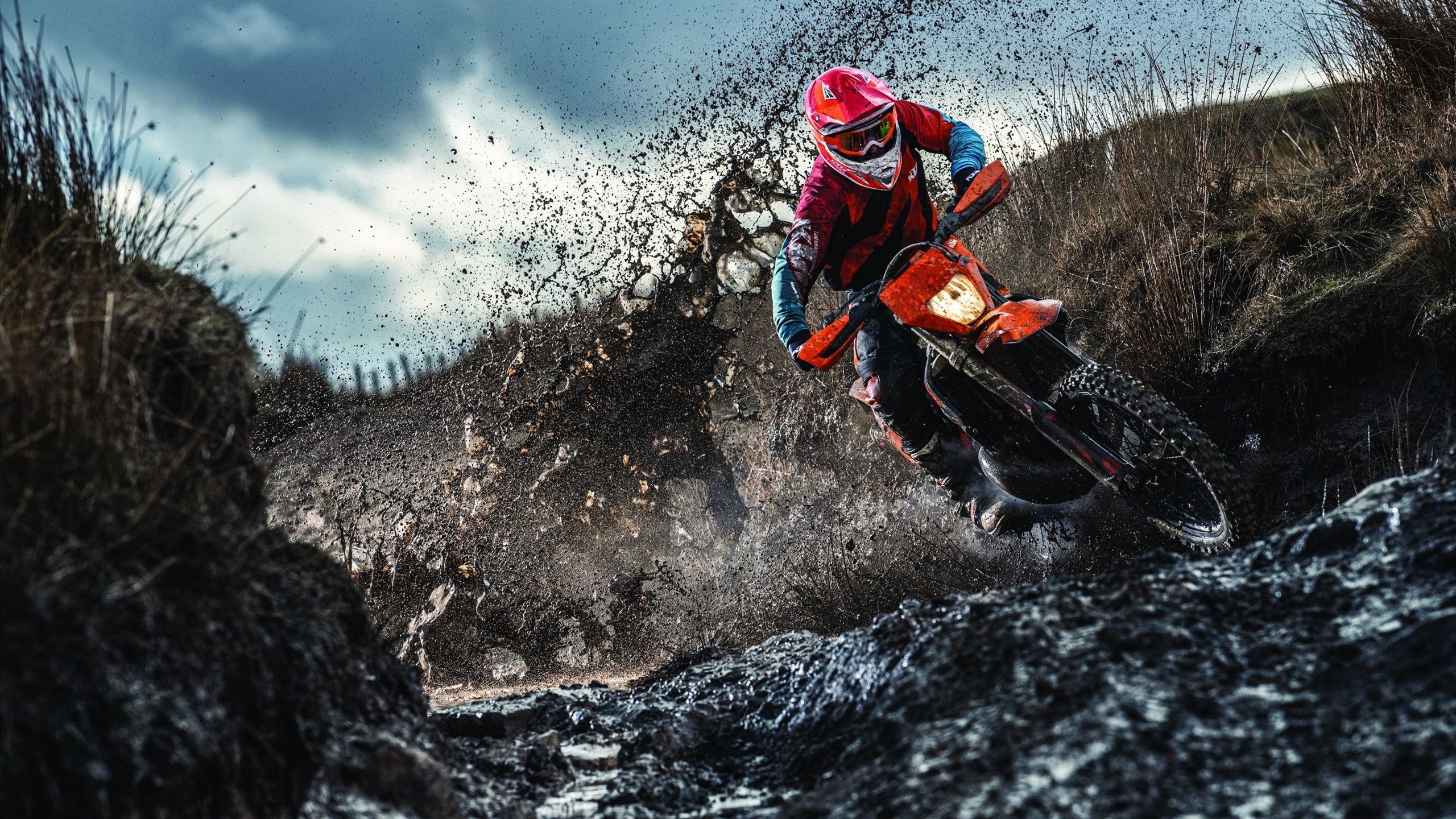 羽球赛场上的双星闪耀，法国队力克印度队，李梓嘉点燃全场激情